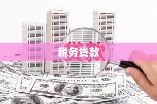 正宁税务贷款