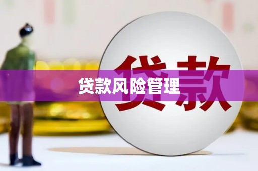 青河贷款风险管理