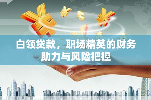 阿莲白领贷款,职场精英的财务助力与风险把控 阿莲白领贷款,职场精英的财务助力与风险把控