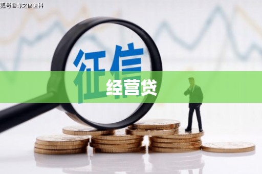 雷州经营贷