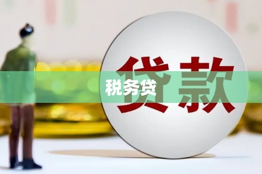埔心税务贷