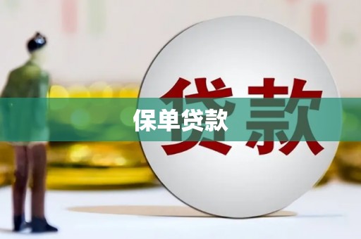 宝兴保单贷款 宝兴保单贷款